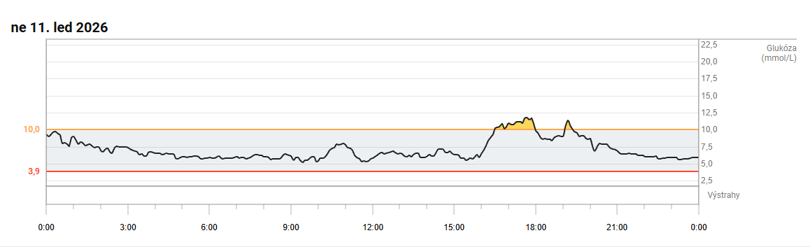 Snímek obrazovky 2026-01-20 104008
